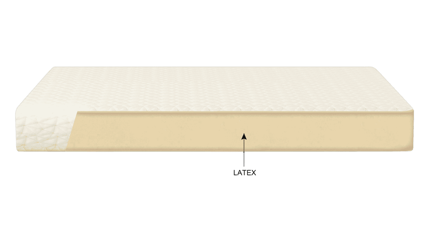 Buy Reborn Single Bed Latex Foam Mattress (75 x 30 x 6) | Godrej Interio