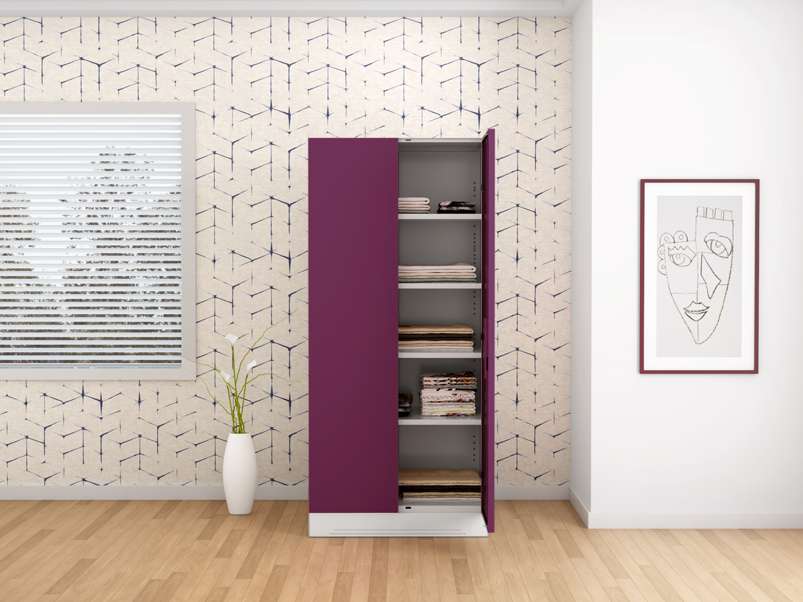 Buy Slimline 2 Door Steel Almirah (4 Shelves) in Purple colour