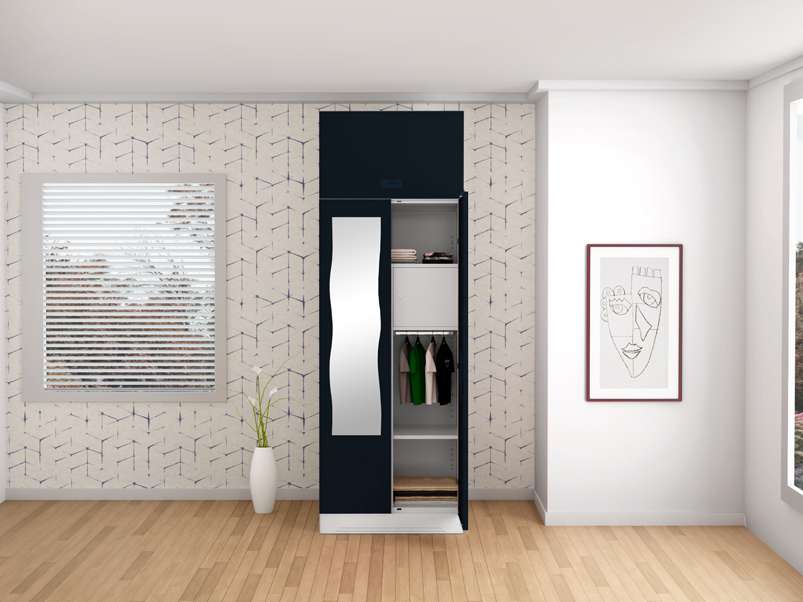 Slimline 2 online door steel almirah